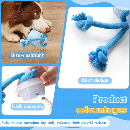 Interactive Dog Ball for Medium/Large Dogs, Automatic Moving Toy Wicked Ball
